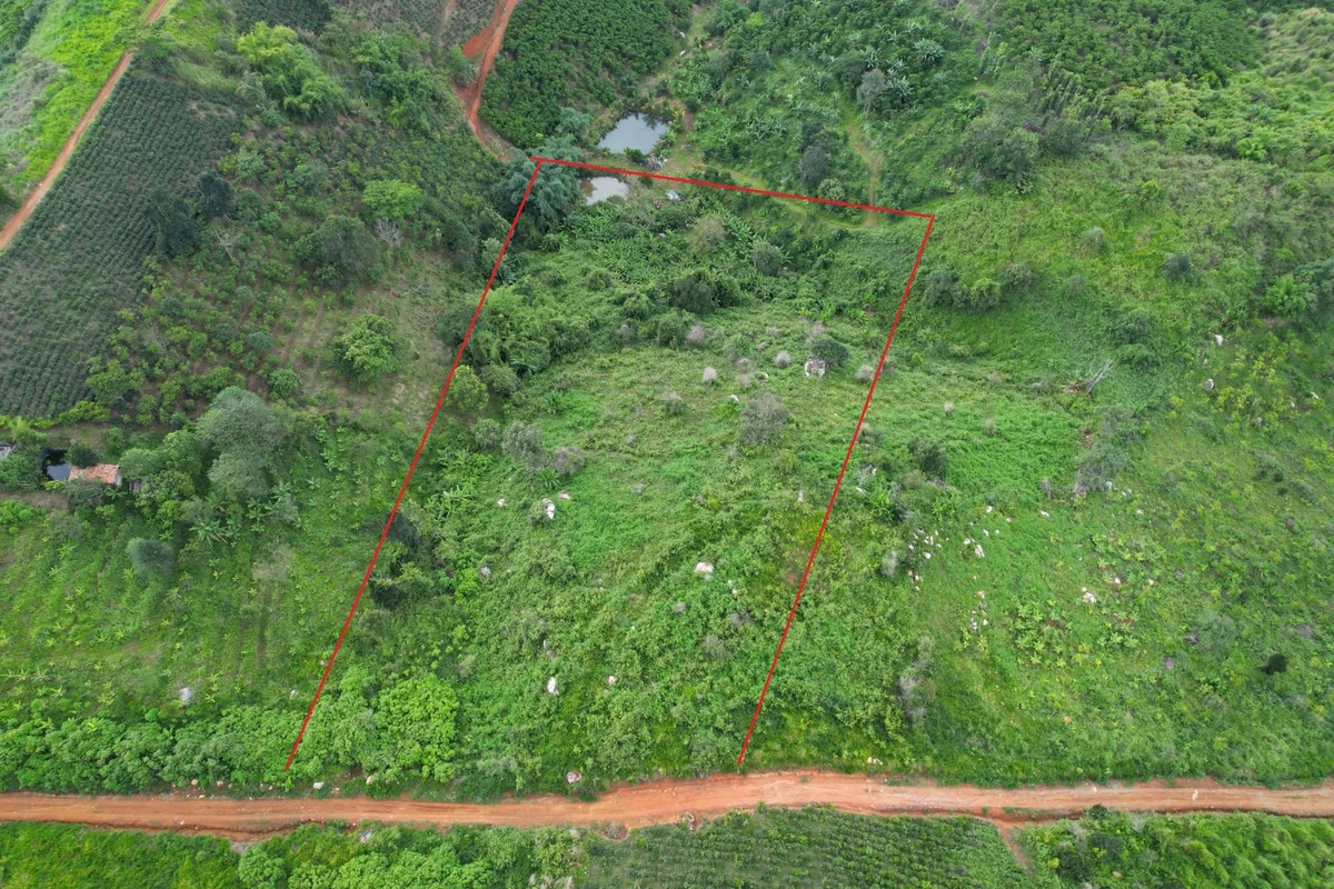 Bán đất 11.000m² (1,1ha) Lộc Thành Bảo Lộc 3,3 tỷ đồng - Ảnh thu nhỏ 4