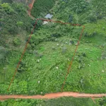 Bán đất 11.000m² (1,1ha) Lộc Thành Bảo Lộc 3,3 tỷ đồng - Ảnh thu nhỏ 4
