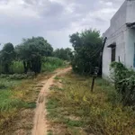 Bán lô đất vườn có nhà cấp 4 tại Ninh Phước, Khánh Hòa - Ảnh thu nhỏ 4