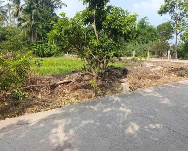 Bán gấp đất thổ cư 5x30m (150m2) giá 430 triệu đường Phạm Công Thận, Tân Trụ, Long An