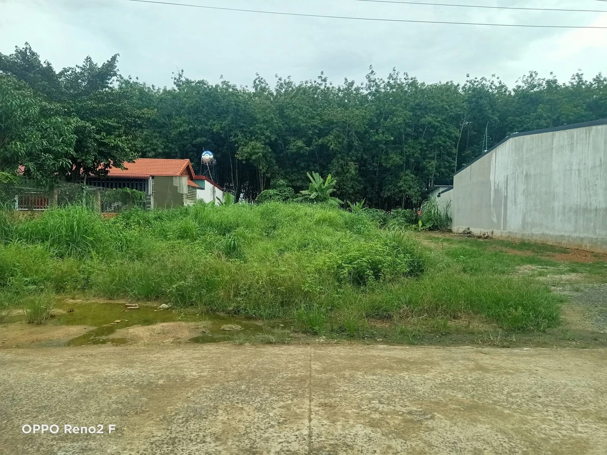 Bán lô đất Bê Tông thứ Hai 200m² Tân Xuân 790 triệu - Ảnh thu nhỏ 3