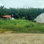 Bán lô đất Bê Tông thứ Hai 200m² Tân Xuân 790 triệu - Ảnh thu nhỏ 3