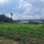Bán đất 483m² Nam Ban, Lâm Đồng, 1,2 tỷ - Ảnh thu nhỏ 4