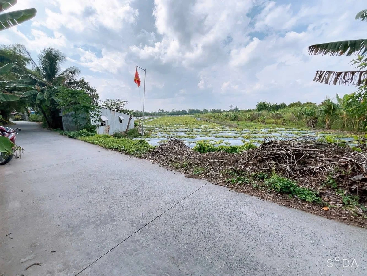 Bán 3000m2 đất lúa cách Đại học Nam Cần Thơ 700m, giá 2,8 tỷ/1000m2 - Ảnh 1