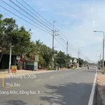 Bán đất mặt tiền khu công nghiệp Giang Điền 115m² giá 2,6 tỷ - Ảnh thu nhỏ 2