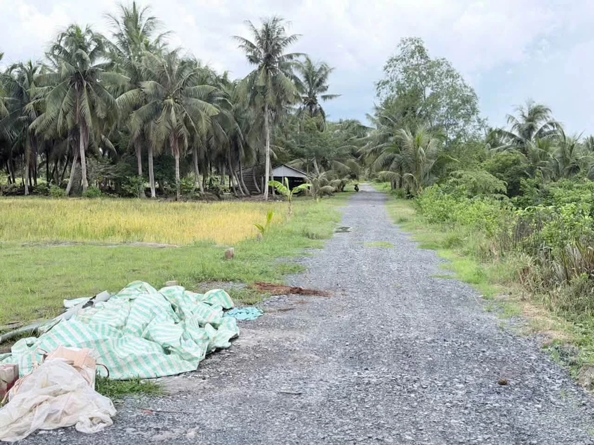 Bán đất nền nhánh ô tô đường Nguyễn Đáng nối dài, Nguyệt Hoá, Trà Vinh, 5x30,5m giá 480 triệu - Ảnh thu nhỏ 4