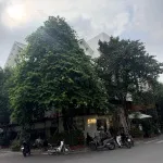 Cc gửi bán lô đất kinh doanh chợ giàu, không lỗi lầm. Có thương lượng, LH 0326 569 *** - Ảnh thu nhỏ 6