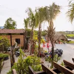 Bán đất sinh thái mặt tiền Quốc lộ 1A Tân An Long An 6516 m² - Ảnh thu nhỏ 5