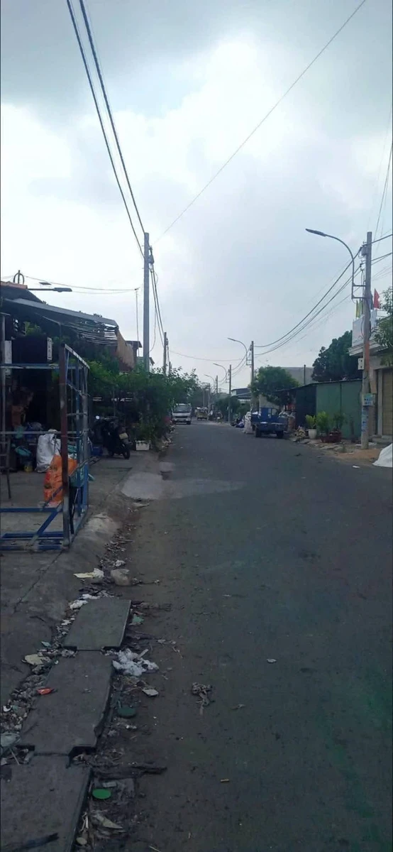 Bán nền thổ cư 100m² 1 tỷ 300 triệu ở Đức Hòa - Ảnh thu nhỏ 2