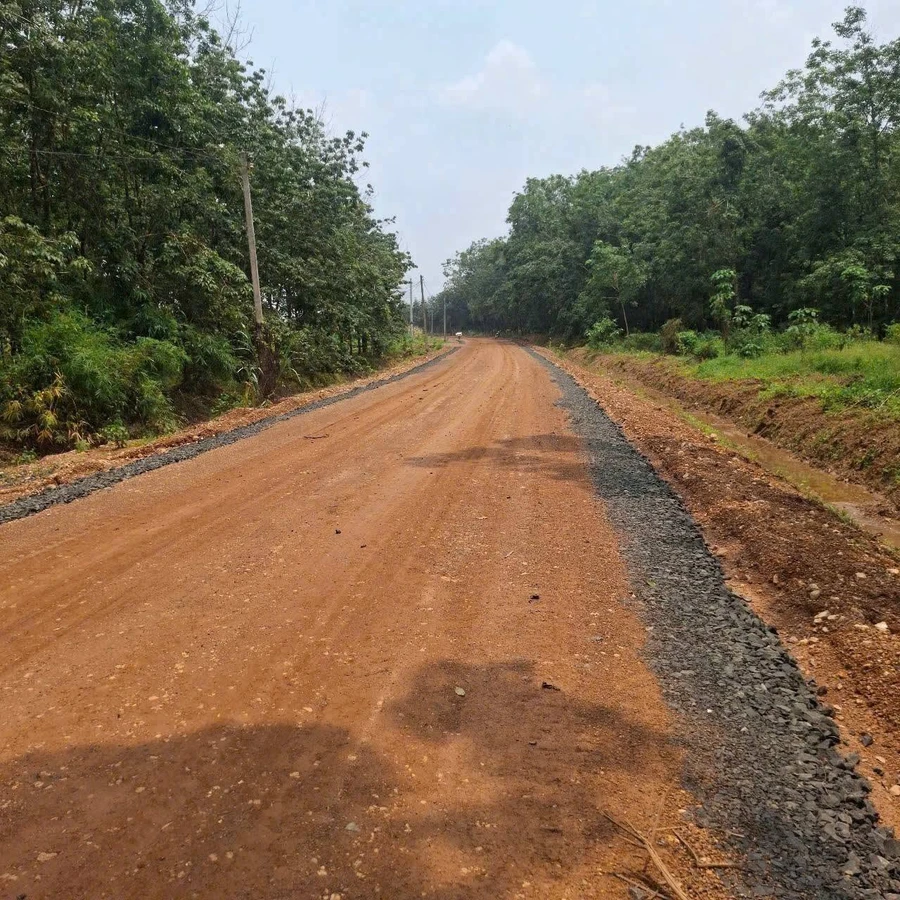 Bán đất 1000m2 mặt tiền Thuận Lợi Đồng Phú 200 triệu - Ảnh 1