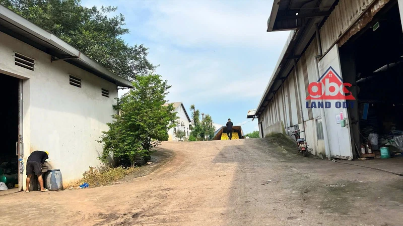 Chuyển nhượng nhà máy sản xuất phân bón 8.800 m² Vĩnh Cửu