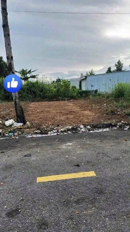 Bán đất nền mặt tiền Nguyễn Thái Bình 100m2, 830 triệu, Lấp Vò, Đồng Tháp