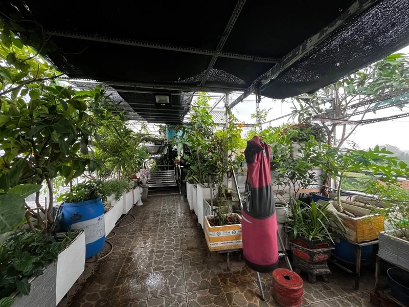 Bán dãy trọ kiệt Xuân Diệu thông Trần Phú, 120m2, giá 2,4 tỷ, Phường Thuận Hóa, Huế bdsphanthiet