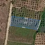 Bán lô đất 500m² ở Lâm Đồng, sát KDC An Phước Riverside - Ảnh thu nhỏ 1