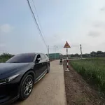 Bán đất Tân Phú Đông Tiền Giang 120m2 250 triệu - Ảnh thu nhỏ 2