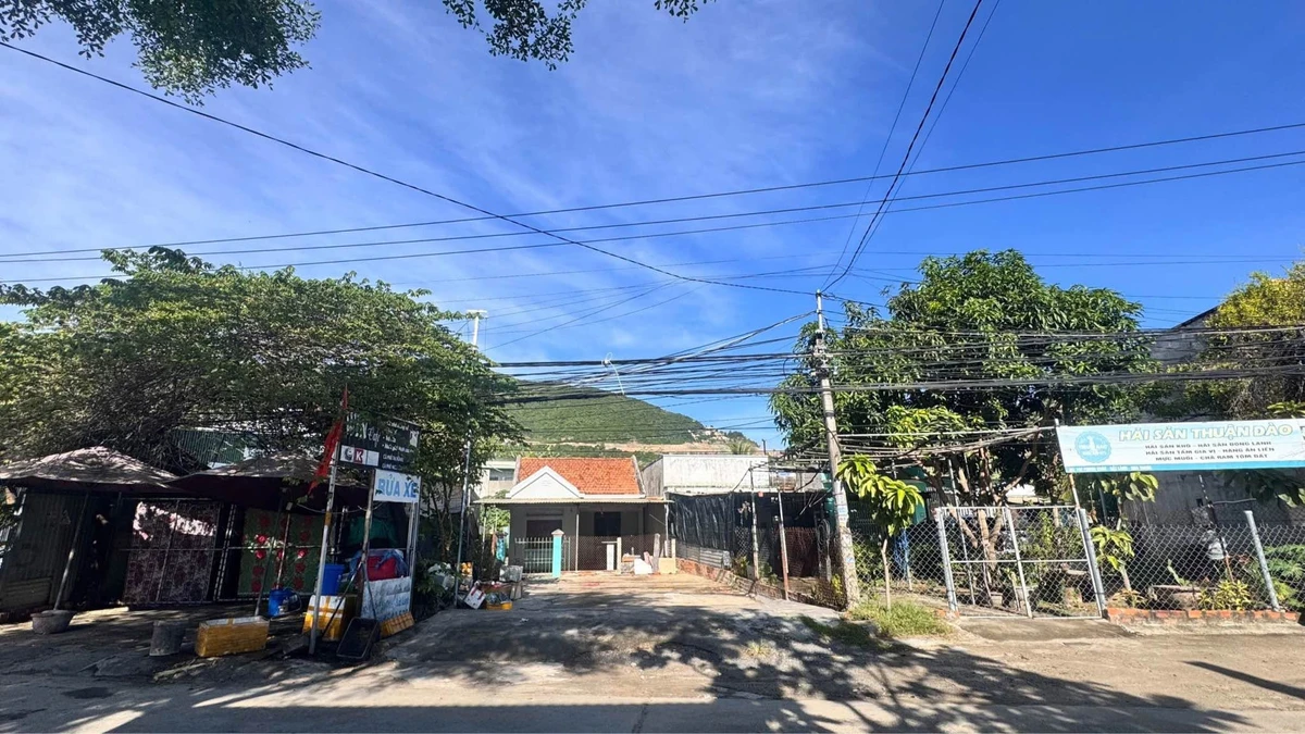 Bán lô đất mặt tiền Phong Châu 281m2, 6 tỷ 7 - Ảnh thu nhỏ 4