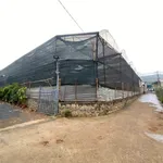 Bán đất vườn lan 1200m2 Hiệp An, Lâm Đồng - Ảnh thu nhỏ 1