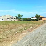 240tr, Đất full thổ cư Truông Mít, Tây Ninh 5x33m sát nhựa thông - Ảnh thu nhỏ 8