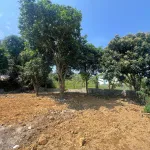 Cần tiền bán gấp 420m2 full đất ở tại Lâm Sơn, Lương Sơn, đất hai mặt đường, cách QL6 100m - Ảnh thu nhỏ 9