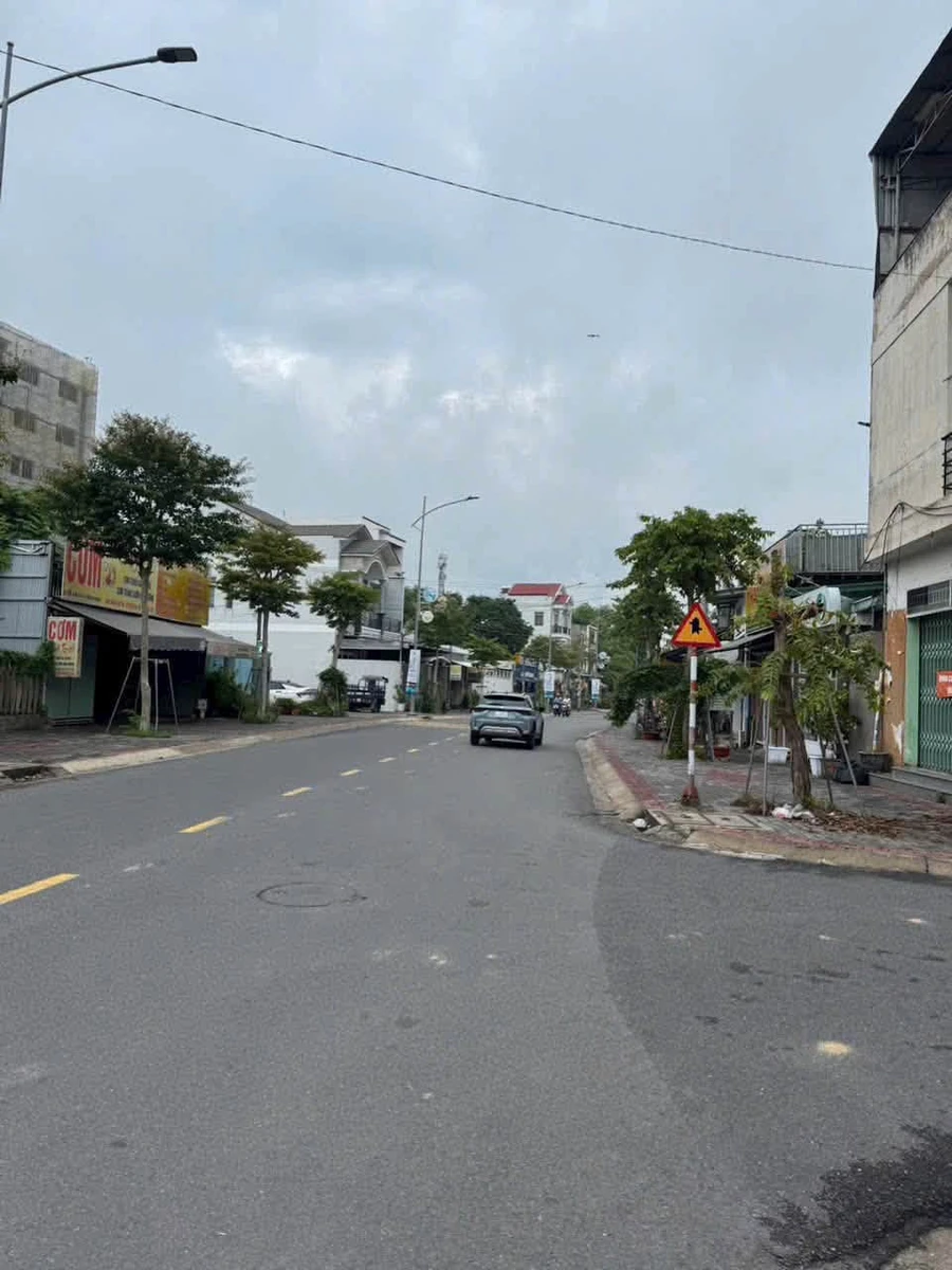 Bán đất 153m2 đường N6 Phú Hòa, Bình Dương - Ảnh thu nhỏ 3