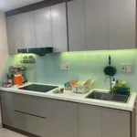 Cho thuê căn hộ Lakeside KĐT Chí Linh 75m2 2PN 7 triệu/tháng - Ảnh thu nhỏ 5