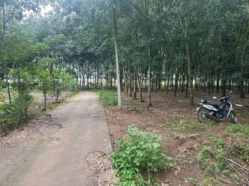 Bán đất nền 4300m2 mặt tiền 5m50 Đồng Xoài 395 triệu