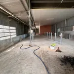 Bán gấp kho mặt tiền Tỉnh lộ 9, Mỹ Hạnh Bắc, Long An, 480m2, giá 8,5 tỷ - Ảnh thu nhỏ 3