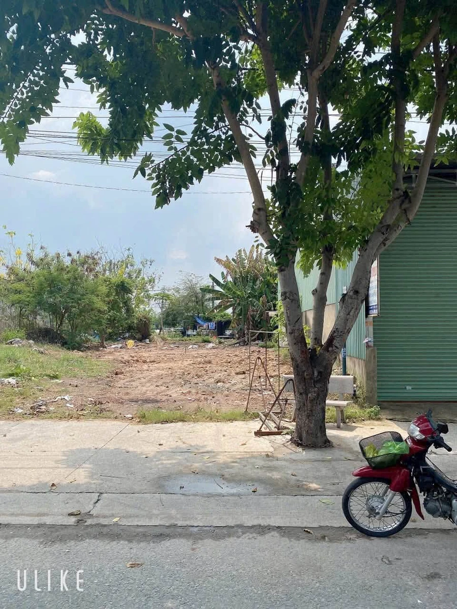 Bán đất 5x20 (100m²) đường D12 Phú Tân, giá 2 tỷ 950 - Ảnh thu nhỏ 4