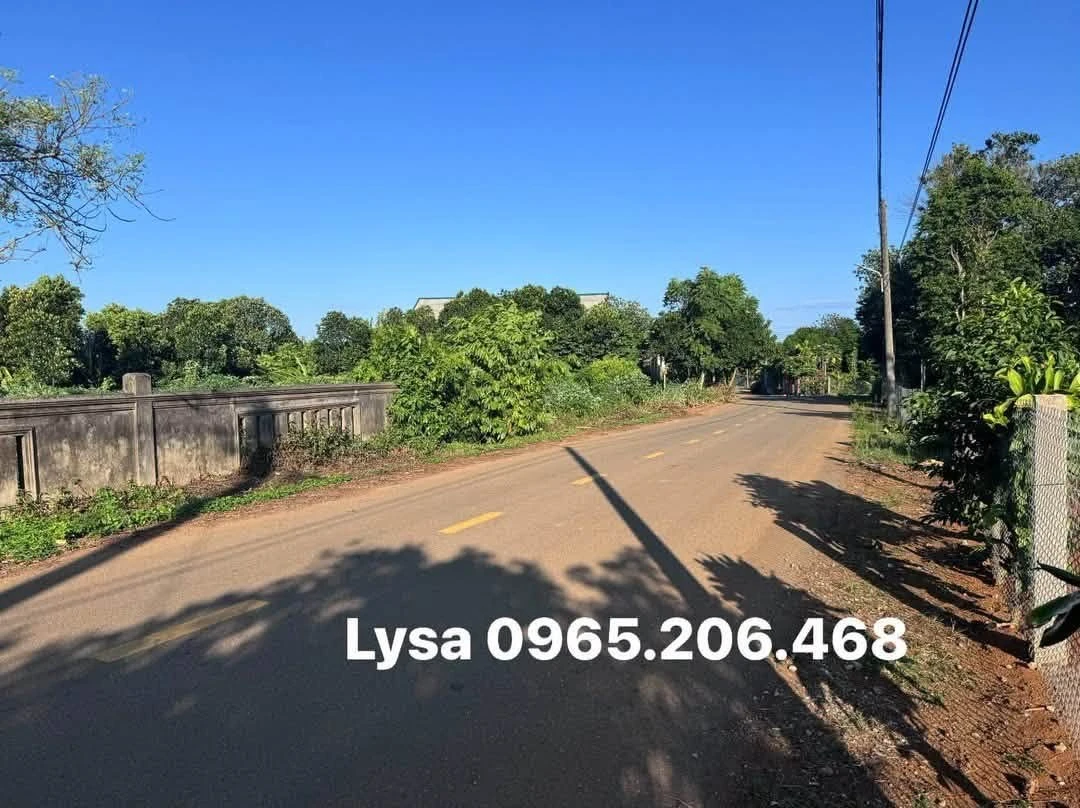 Bán lô đất Kim Thạch Cửa Tùng 870m² mặt tiền 12m giá 1.3 tỷ - Ảnh 1