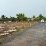 319tr, đường nhựa giá rẻ 5x16m gần vòng xoay Gò Dầu, Tây Ninh - Ảnh thu nhỏ 9