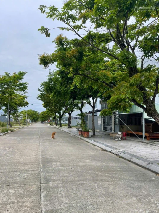 Bán đất Golden Hills, Liên Chiểu chỉ 22 triệu/m2, 2 tỷ 750 giá tốt trong thị trường - Ảnh thu nhỏ 2