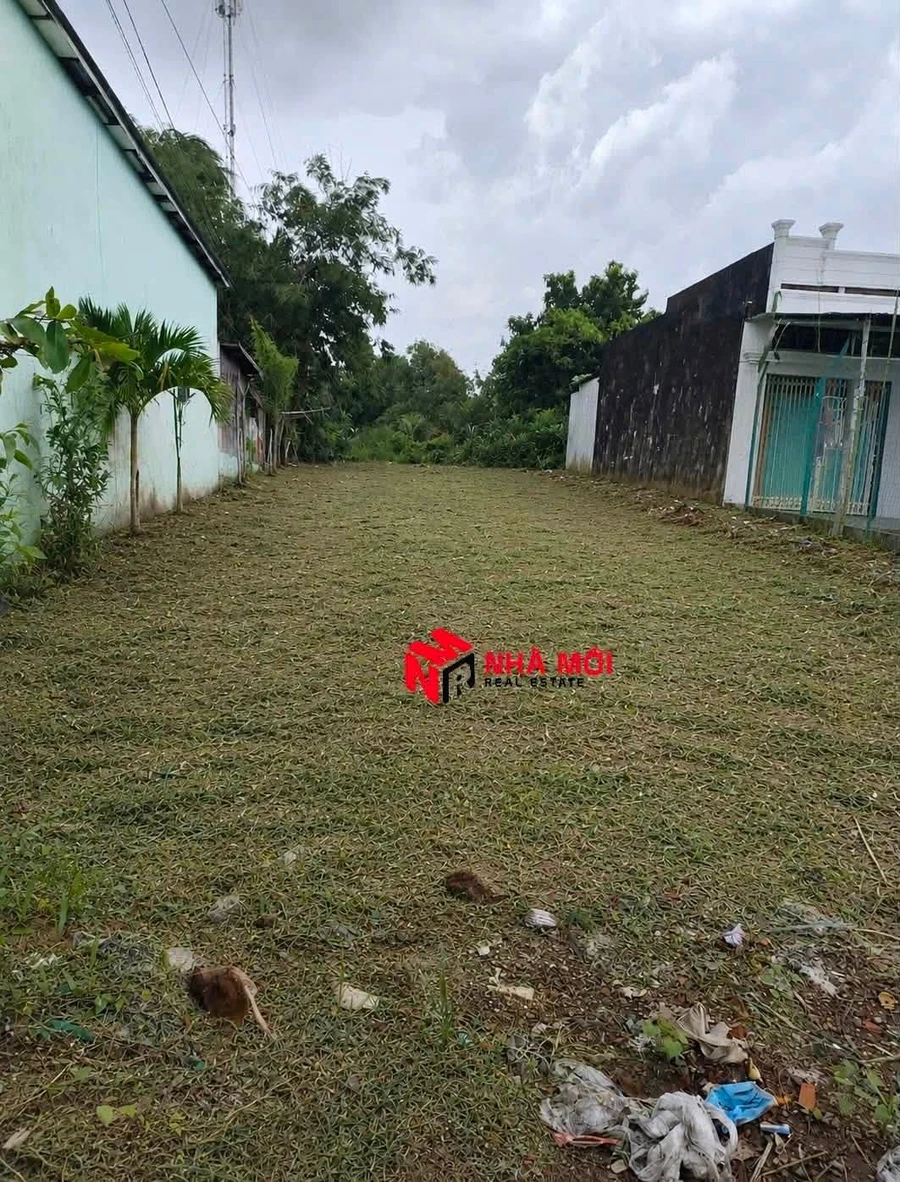 Bán đất 6×40m, 240m² mặt tiền đường Lâm Thành Mẫu, Cà Mau - Ảnh thu nhỏ 4
