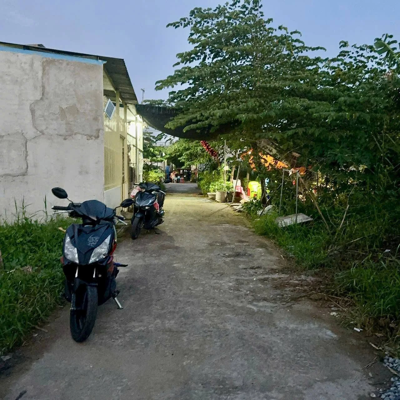 Bán nền 2 mặt tiền 400m² Phú Tân, Bến Tre 295 triệu - Ảnh 1