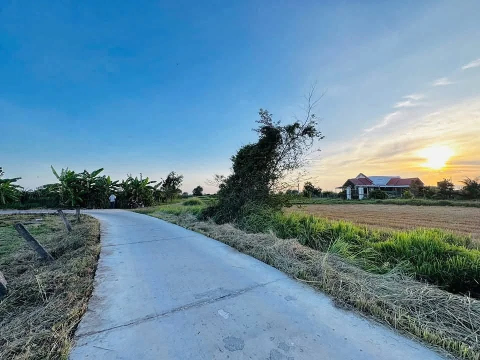 Bán đất cây trồng 1000m2 thôn 2 xã Hàm Liêm, Lâm Đồng giá 420 triệu - Ảnh thu nhỏ 2
