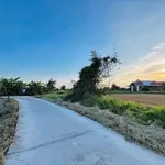Bán đất cây trồng 1000m2 thôn 2 xã Hàm Liêm, Lâm Đồng giá 420 triệu - Ảnh thu nhỏ 2