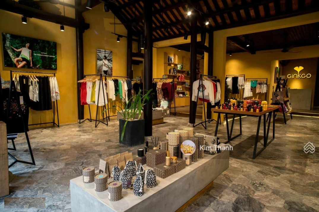 Siêu phẩm nhà cổ Trần Phú, Hội An, 296,7m2 mặt tiền 10m, giá 88 tỷ tài sản di sản hiếm - Ảnh thu nhỏ 3