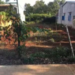 Đất 10x25m mặt tiền đường thông có thổ cư - Ảnh thu nhỏ 4