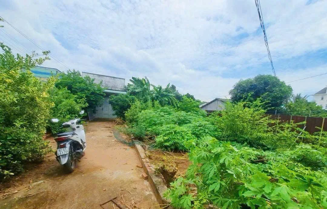 Bán đất 1916m2 mặt tiền đường nhựa 833 Bình Lãng, Tân Trụ, Long An giá 6,5 tỷ - Ảnh thu nhỏ 5