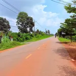 Bán đất Tây Ninh Ấp An Bình 280 triệu - Ảnh thu nhỏ 1