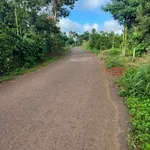 Bán đất mặt đường Ông Thánh An Tôn 100m² Hóc Môn - Ảnh thu nhỏ 1