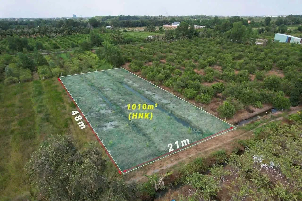 Bán đất nền 1000m² Bến Lức Long An, 550 triệu - Ảnh 1