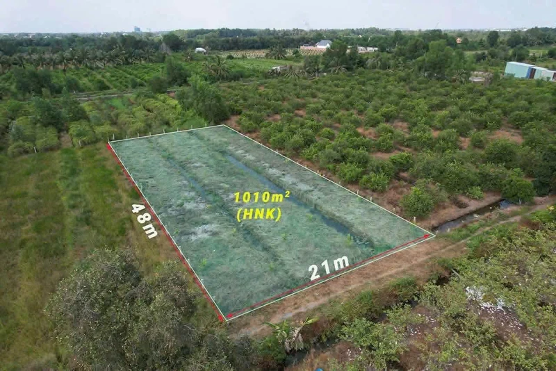 Bán đất nền 1000m² Bến Lức Long An, 550 triệu
