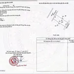 Bán đất đấu giá, sổ đỏ chính chủ DT gần 250m2 - Ảnh thu nhỏ 2