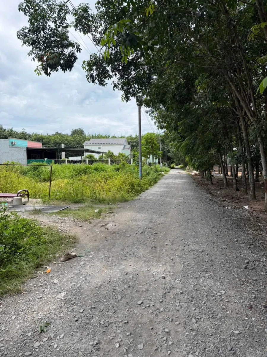 Bán mặt tiền Tân Bình 260m² lên betong giá 1 tỷ 3 - Ảnh thu nhỏ 2