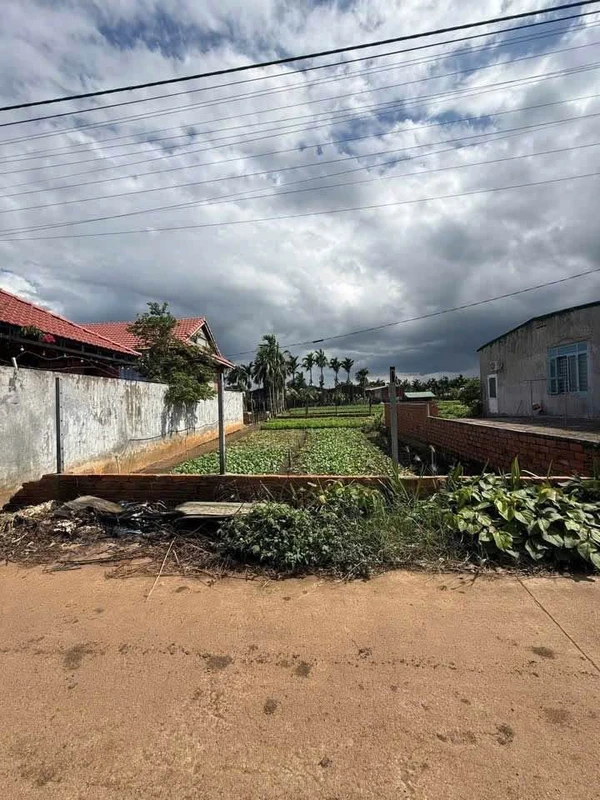 Bán đất hẻm cấp 1 Phan Văn Đạt, 250m², Đắk Lắk