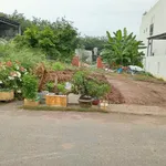 Bán lô đất 7x50m có 100m2 thổ cư tại phường An Tây, Bến Cát, Bình Dương - Ảnh thu nhỏ 3