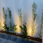 Bán nhà 5x24m full nội thất KP2 Trảng Dài, Biên Hòa giá 3,55 tỷ - Ảnh thu nhỏ 5