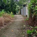 Bán 3 công 8 đất vườn dừa xiêm view rạch, ngang 20m, Phú An Hòa, gần KCN Giao Long - Ảnh thu nhỏ 1
