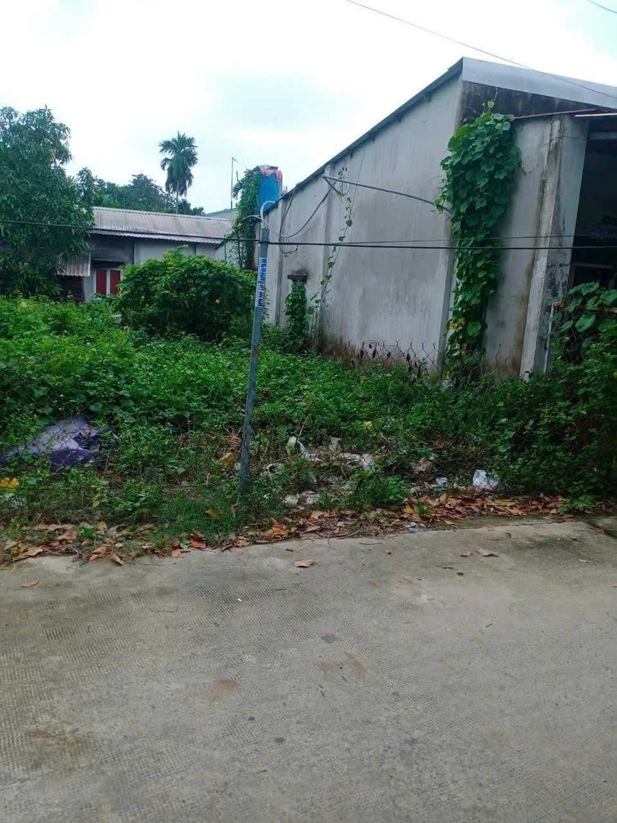 Bán đất mặt tiền Bình Nhâm 26, 89 m2, 2,5 tỷ, Bình Chánh - Ảnh thu nhỏ 5