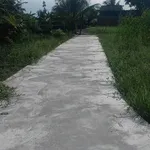 Bán đất thổ cư Hòa Phú 5x22m, 7x22m 110m² 450 triệu - Ảnh thu nhỏ 2
